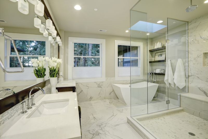 Elegant Shower Niche